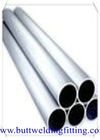 Boiler / Structural Seamless Stainless Steel Tubing Small Diameter A/SA268 TP446-1