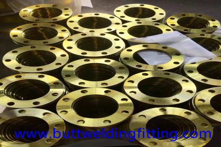 Copper Nickel 90/10 Plate Forged Steel Flanges BW RF STD B16.9 10'' 150#