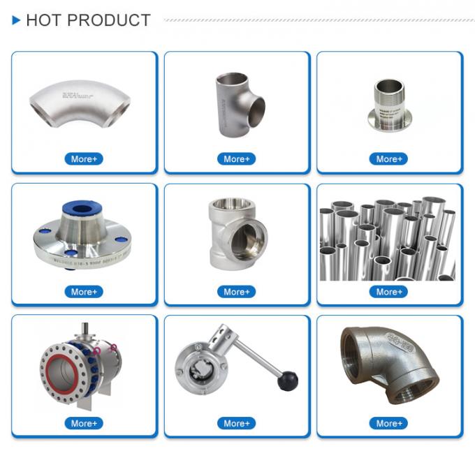 316lL SAE Flange contra soldadura ISO 6161 ISO 6162 Flange hidráulico cuadrado de acero inoxidable 5