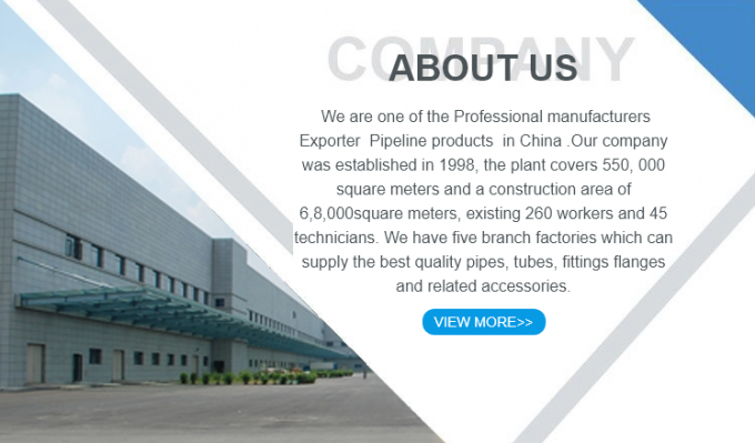 METAL de alta calidad 304 tubo de acero inoxidable ajuste de cabeza cuadrada sólida enchufe 1/2/3/4/6 puntos NPT1/2 7