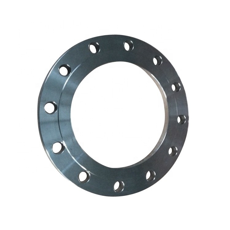 DN25 DN40 DN80 DN100 DN150 DN600 Plate Steel Stainless Steel Flange