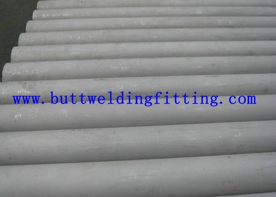 SGS Stainless Steel Seamless Pipe Alloy - Steel Boiler Seamless Stainless Steel Tube